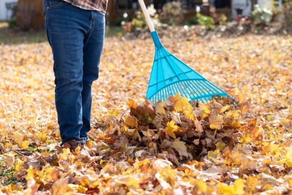 Garden Renewal Through Seasonal Cleanup